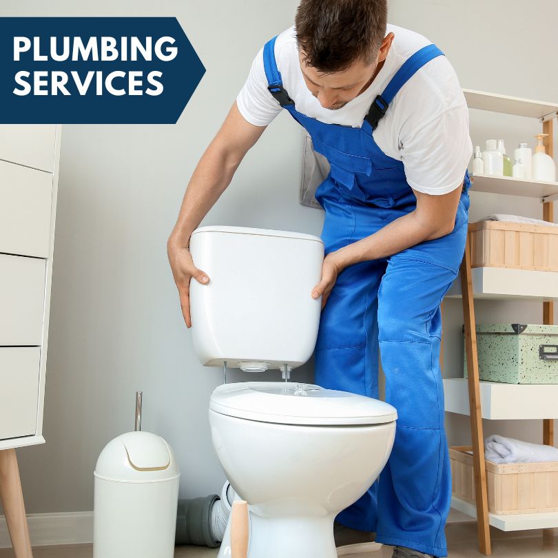 Plumbing Company in Forest, VA